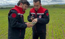 Aydıntepe'de ÇKS beyan doğrulama çalışması yapıldı