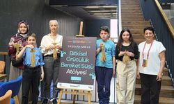 Bafra pirincinin başakları bereket süsü oldu