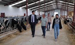 Beylikova Kaymakamı Kantilav, hayvancılık faaliyetlerini inceledi