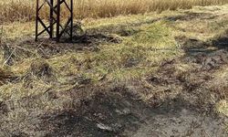 Bilecik'te anız yangını