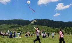 Bilecik'te gökyüzü uçurtmalarla renklendi