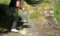 Bilecik'te piknik alanlarında ilaçlama çalışması gerçekleştirildi