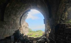 Bitlis'in tarihi mirası sessizce yok oluyor: Lale Paşa Hanı ilgi bekliyor