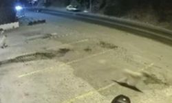 Bodrum'daki ölümlü kazanın güvenlik kamerası ortaya çıktı