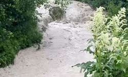 Bolu'da dereler taştı, tarım arazileri sular altında kaldı