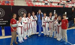 Bozüyüklü taekwondocular başarılarıyla göz doldurdu