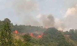 Bursa'da makilik alanda yangın