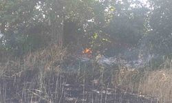 Çan'da tarla yangınında 2 ekili alan kül oldu