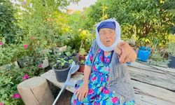 CHP eski milletvekili ile kız kardeşi arasında 'anne' tartışması jandarmaya taşındı