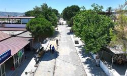 Didim Balat Mahallesi'nde çalışmalar sürüyor