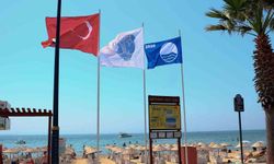 Didim'in mavi bayraklı plajları belli oldu