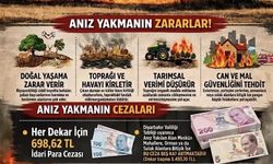Diyarbakır'da anız yakanlara dekar başı 698 lira para cezası uygulanacak