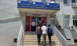 Diyarbakır'da haklarında kesinleşmiş hapis cezası bulunan 141 kişi yakalandı