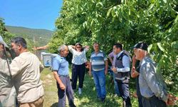 Dolu yağışı sonrası sahada zarar tespiti yapıldı
