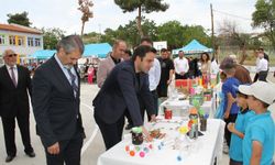 Dünya Çevre günü çeşitli etkinliklerle kutlandı