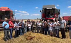 Edirne'de buğday hasadı dualarla başladı