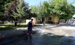 Elazığ'da belediye ekiplerinin, temizlik mesaisi sürüyor
