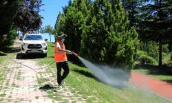 Elazığ'da ilaçlama çalışmaları aralıksız sürüyor