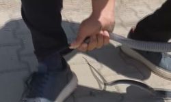 Eliyle yakaladığı yılan bacağını ısırdı: O anlar kamerada