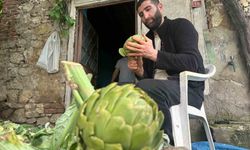 Enginar soyarak ayda 240 bin lira kazanıyor