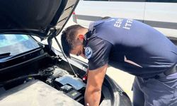 Eskişehir'de motor bölümüne sıkışan kediyi itfaiye ekipleri kurtardı