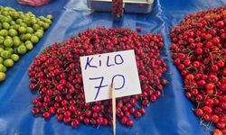 Festivalde 300 liraydı, pazarda 70 liraya düştü
