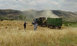 Gercüş'te kavurucu sıcakta 'oyun havalı' hasat