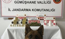 Gümüşhane'de uyuşturucu operasyonu