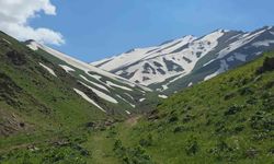 Haziran ayında karda kayıp kartopu oynadılar