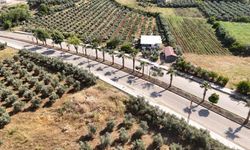 HBB, Hassa'da prestij cadde çalışmalarını sürdürüyor