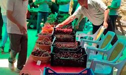 Hisarcık Kutlubeyler köyünde Kiraz Festivali coşkusu