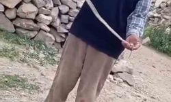 Iğdır'da eve girmeye çalışan yılanı çıplak elle yakaladı