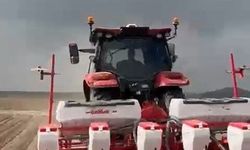 Kabak çekirdeği üretiminde önemli merkez olan Tomarza'da ekim sezonu başladı