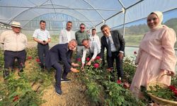 Kadın girişimci hibe desteğiyle Kocaeli'nin ilk gül serasını kurdu