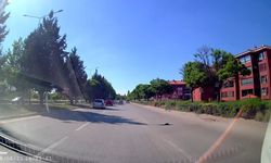 Kara yolunda mahsur kalan kaplumbağasına yardım eli