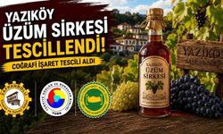Karabük'ün 10'uncu coğrafi işaretli ürünü 'Yazıköy Üzüm Sirkesi' oldu