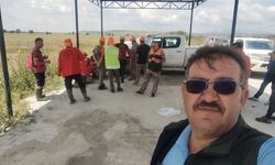 Karapınar'da kontrollü sürek avı