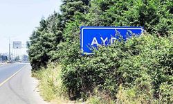 Karayolu üzerindeki Aydın tabelası çalılar arasında kaldı