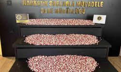 Kargo ile uyuşturucu sevkiyatına polis 'dur' dedi