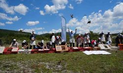 Kastamonu'da doğaya bin 200 kınalı keklik salındı
