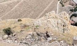 Keban'da dağ keçileri sürü halinde görüldü