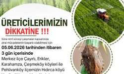 Kırklareli'nde süne zararlısına karşı ilaçlı mücadele kararı