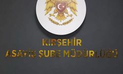 Kırşehir'de denetimlerde silah ve kesici alet ele geçirildi