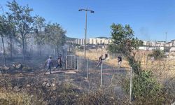 Kocaeli'de saman yüklü tırın römorkunda çıkan yangın mahalleyi sardı
