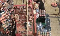 Marketin kapısını kırıp içeri giren çocuklar, marketi talan etti