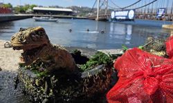 Marmara Denizi Günü'nde denizden maket dinozor çıktı