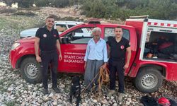 Mersin'de 70 metrelik mağarada mahsur kalan oğlak kurtarıldı