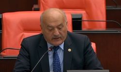 Milletvekili Karaman TBMM'de Erzincan'ın tarım yatırımlarını anlattı