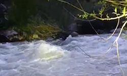 Nehirde kaybolan şahıs için arama çalışması başlatıldı