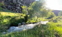 Niğde'nin Uzandı Vadisi görsel şöleniyle ziyaretçilerini ağırlıyor